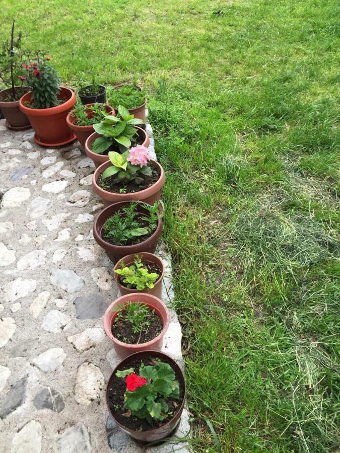 Guesthouse Demushi Βαλμπόνα Εξωτερικό φωτογραφία